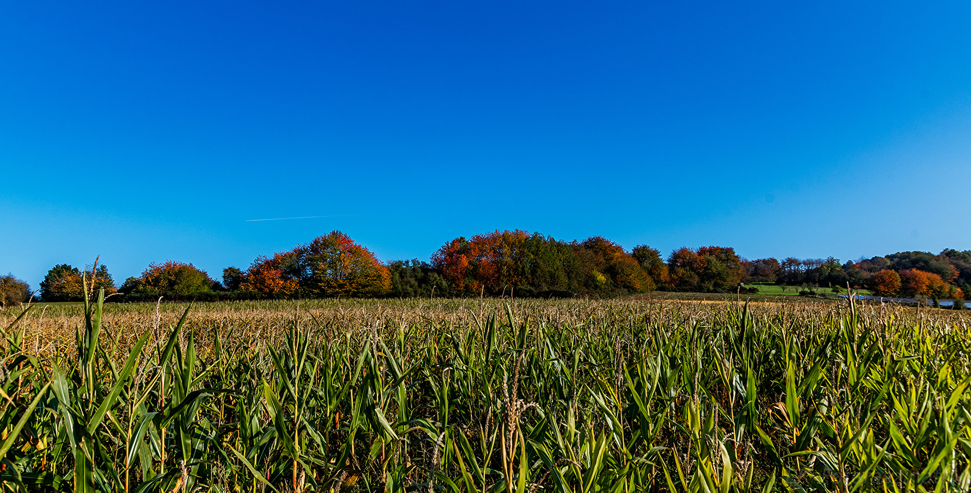 Herbst
