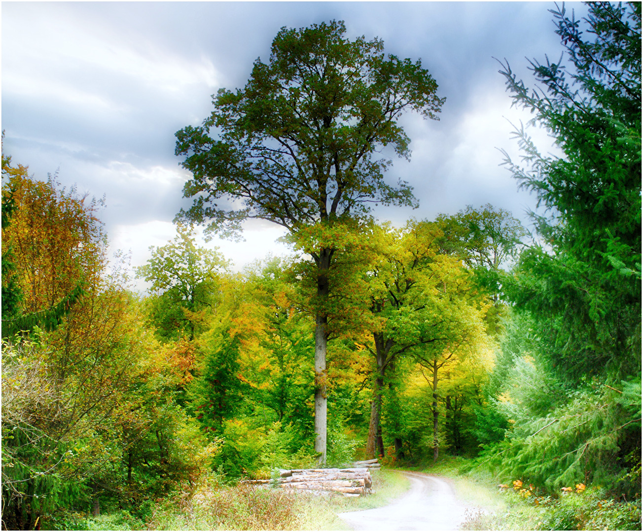 Herbstfarben