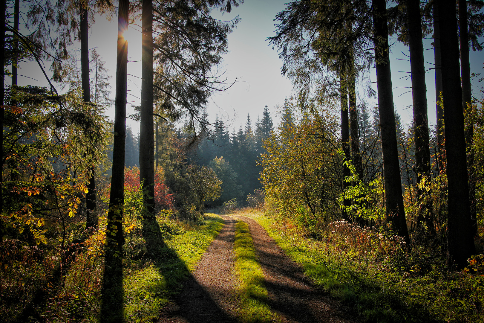 Herbst 1