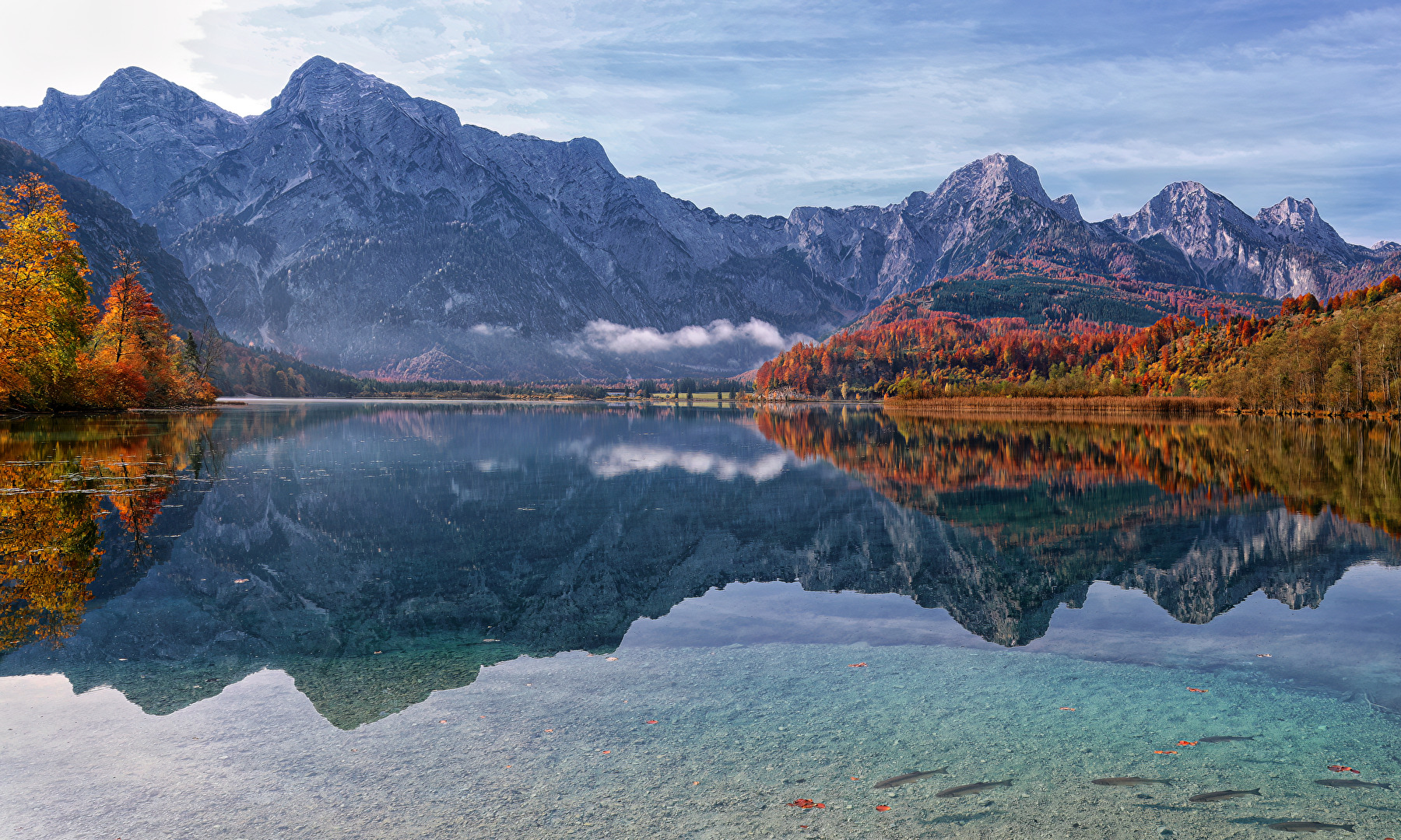 Goldener Herbst