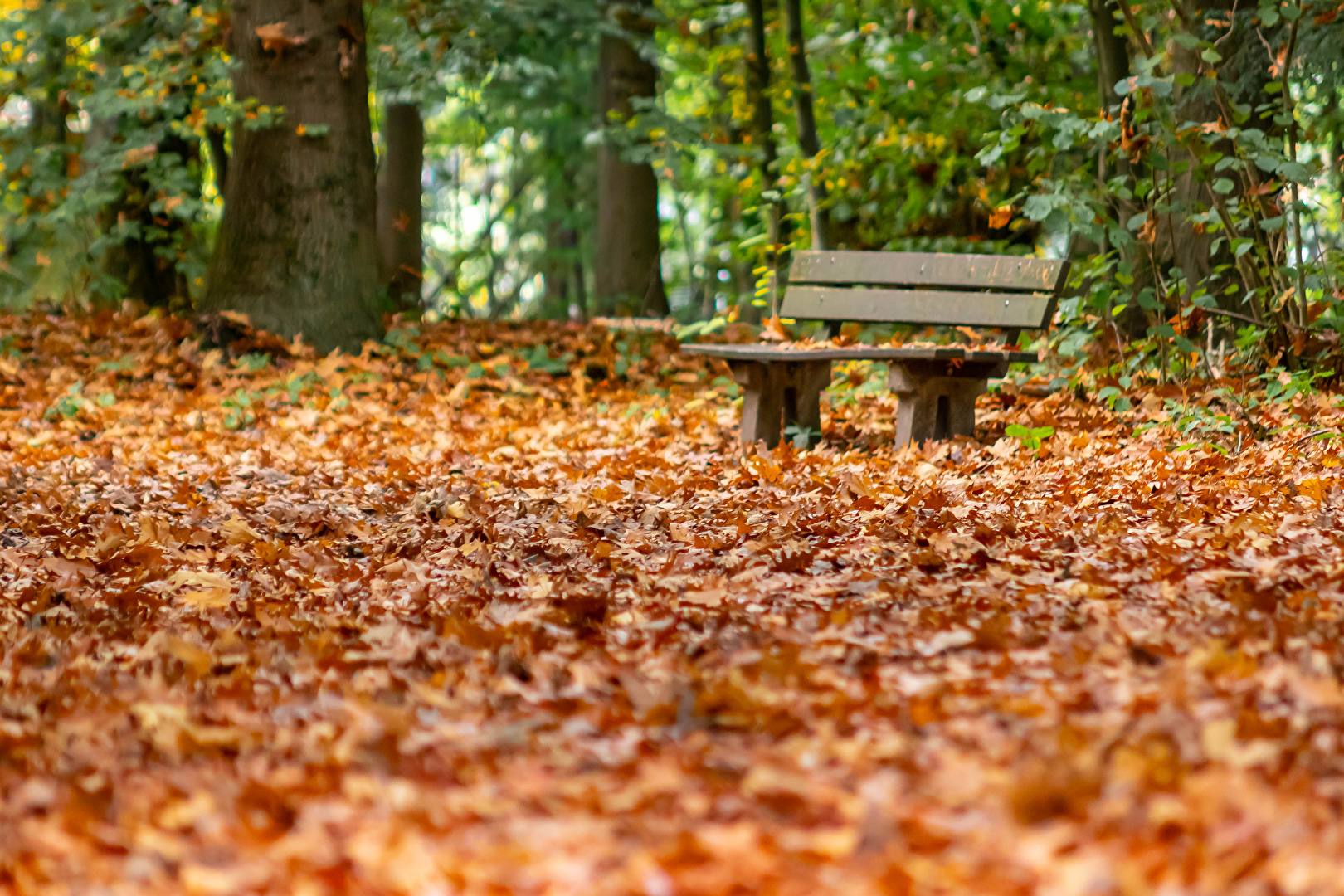 Herbst