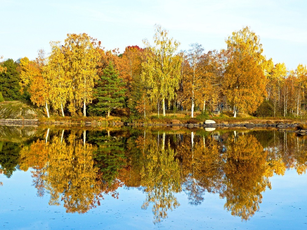 ... Spaziergang im Herbst ...