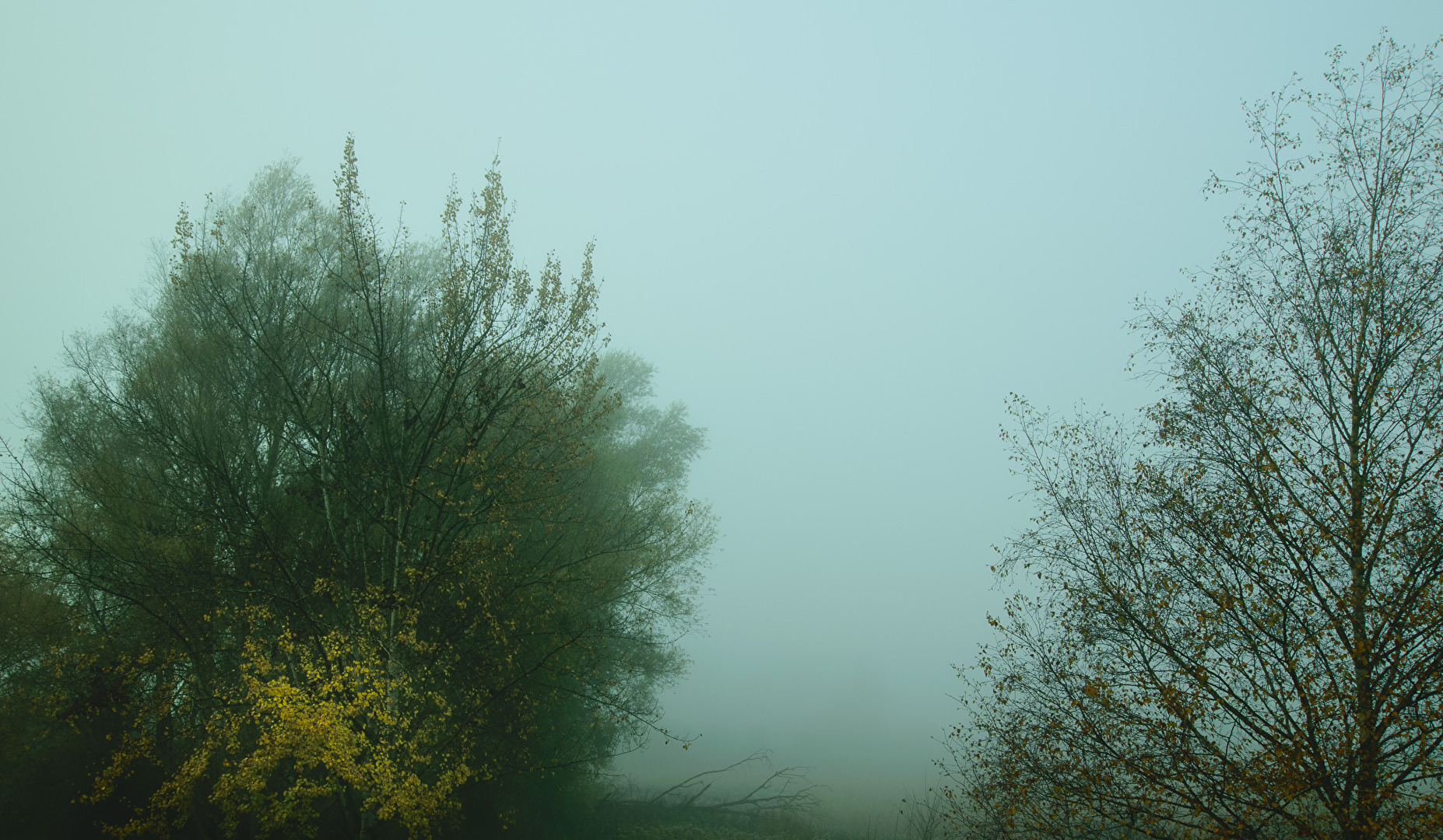 Herbststimmung morgens um 8 Uhr