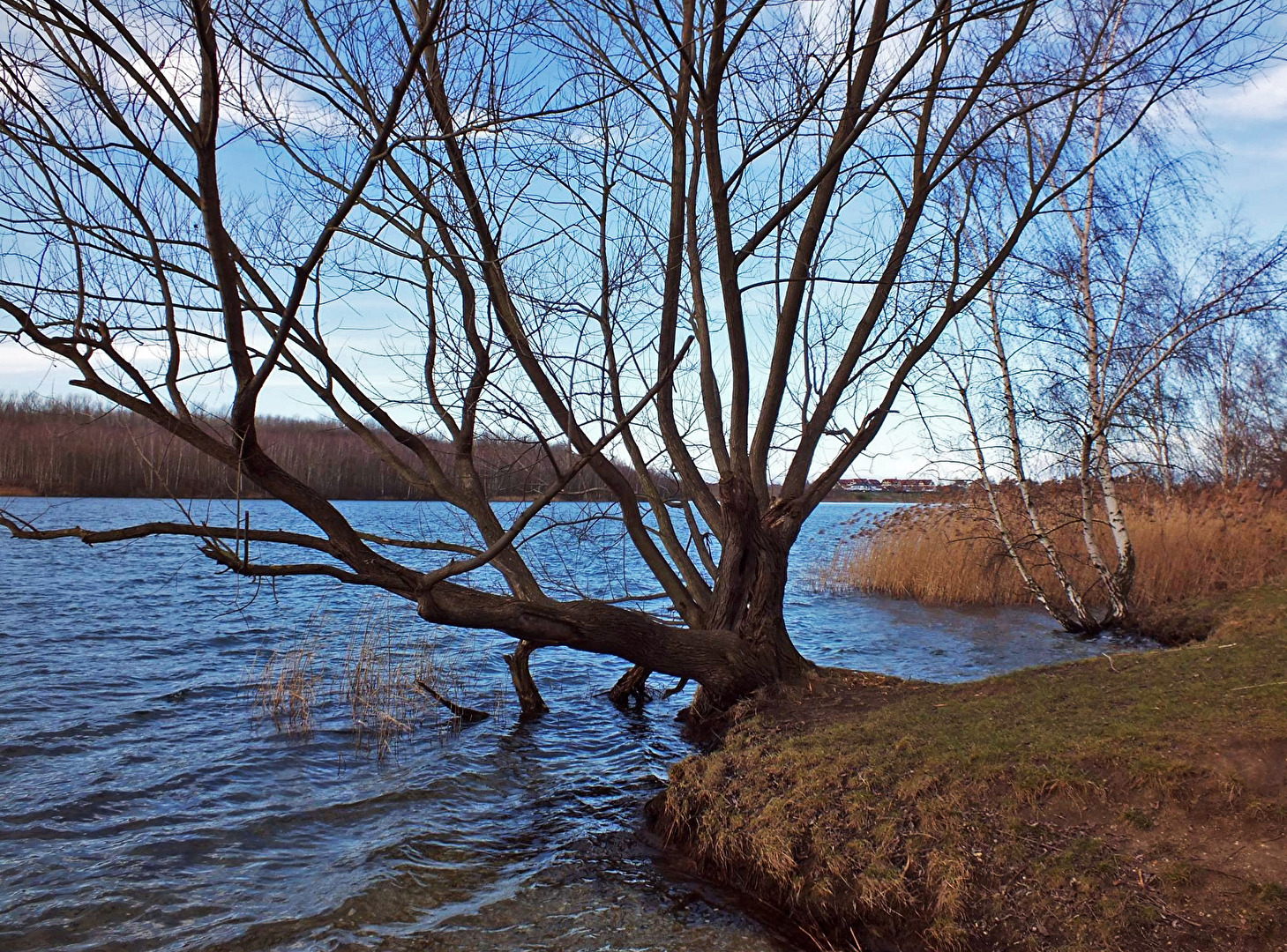 Herbststimmung am See...