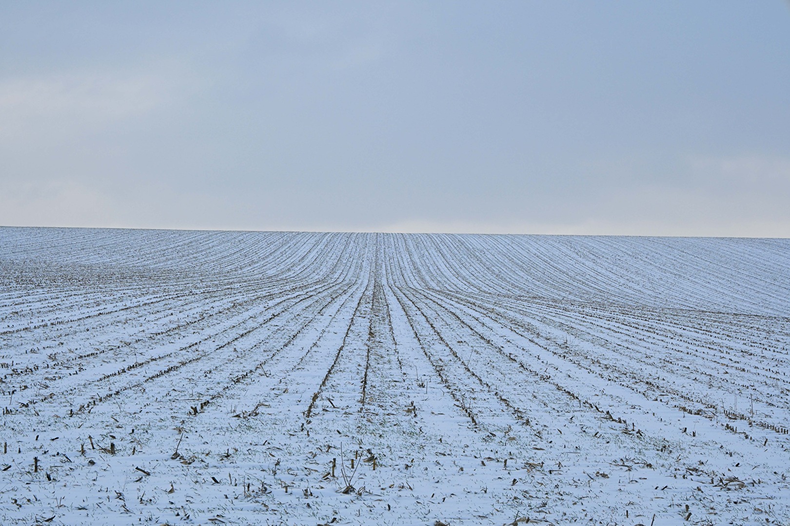 Weinviertler Berge im Schnee