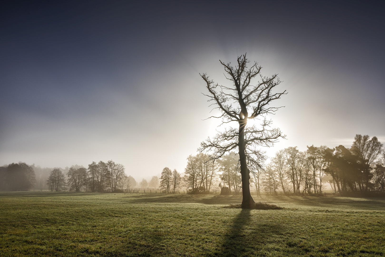 Herbststimmung am Morgen - Lüneburger Heide