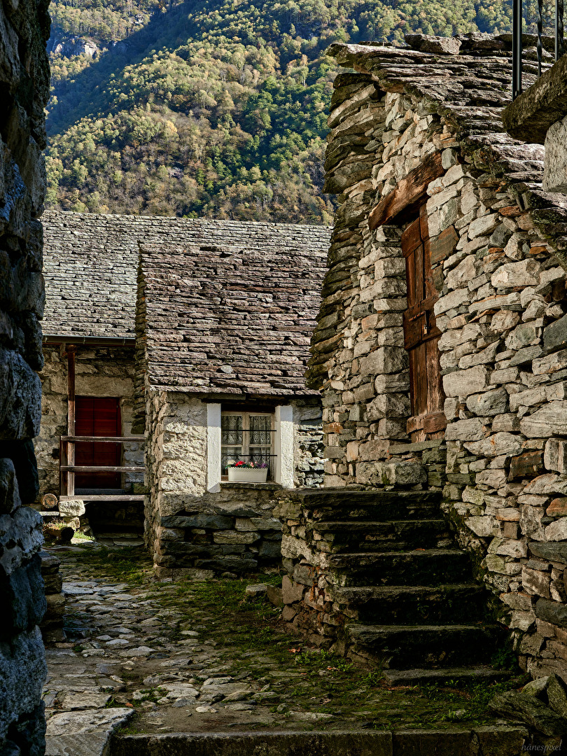 Corippo