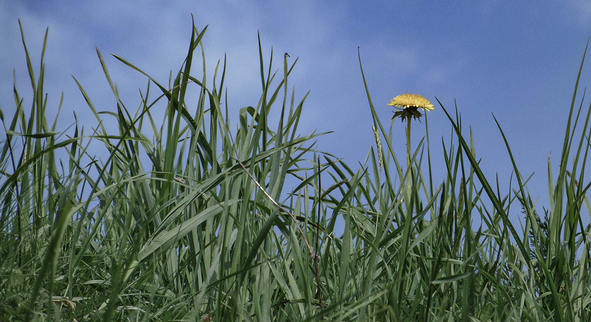 Frühling im Süden