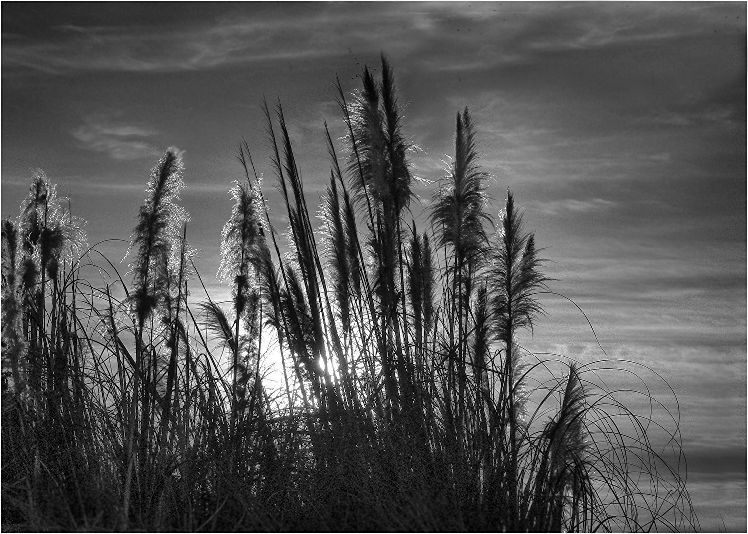 Abend,  wenn der Spanier spazieren geht