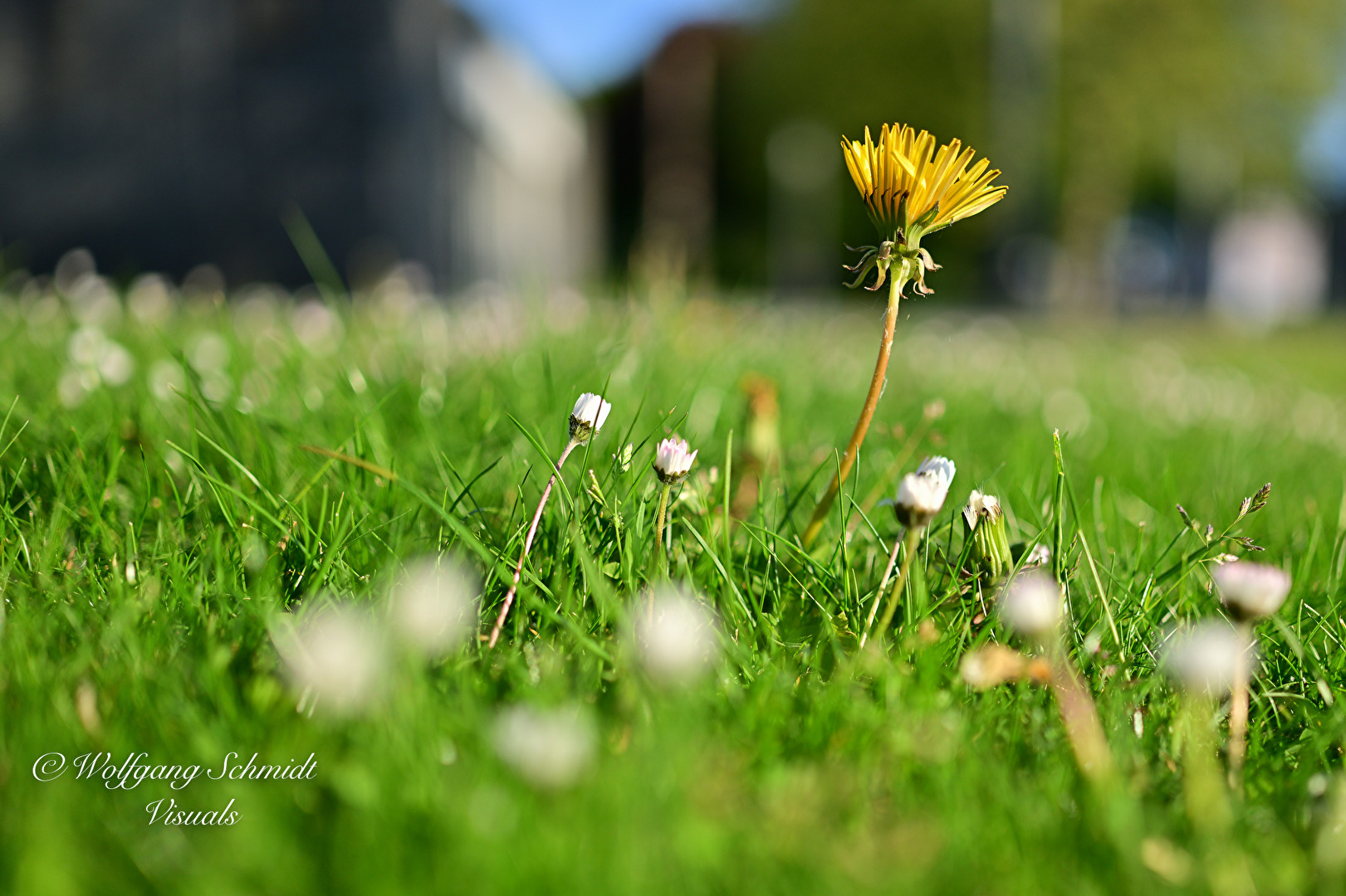 Natur im Schlaf