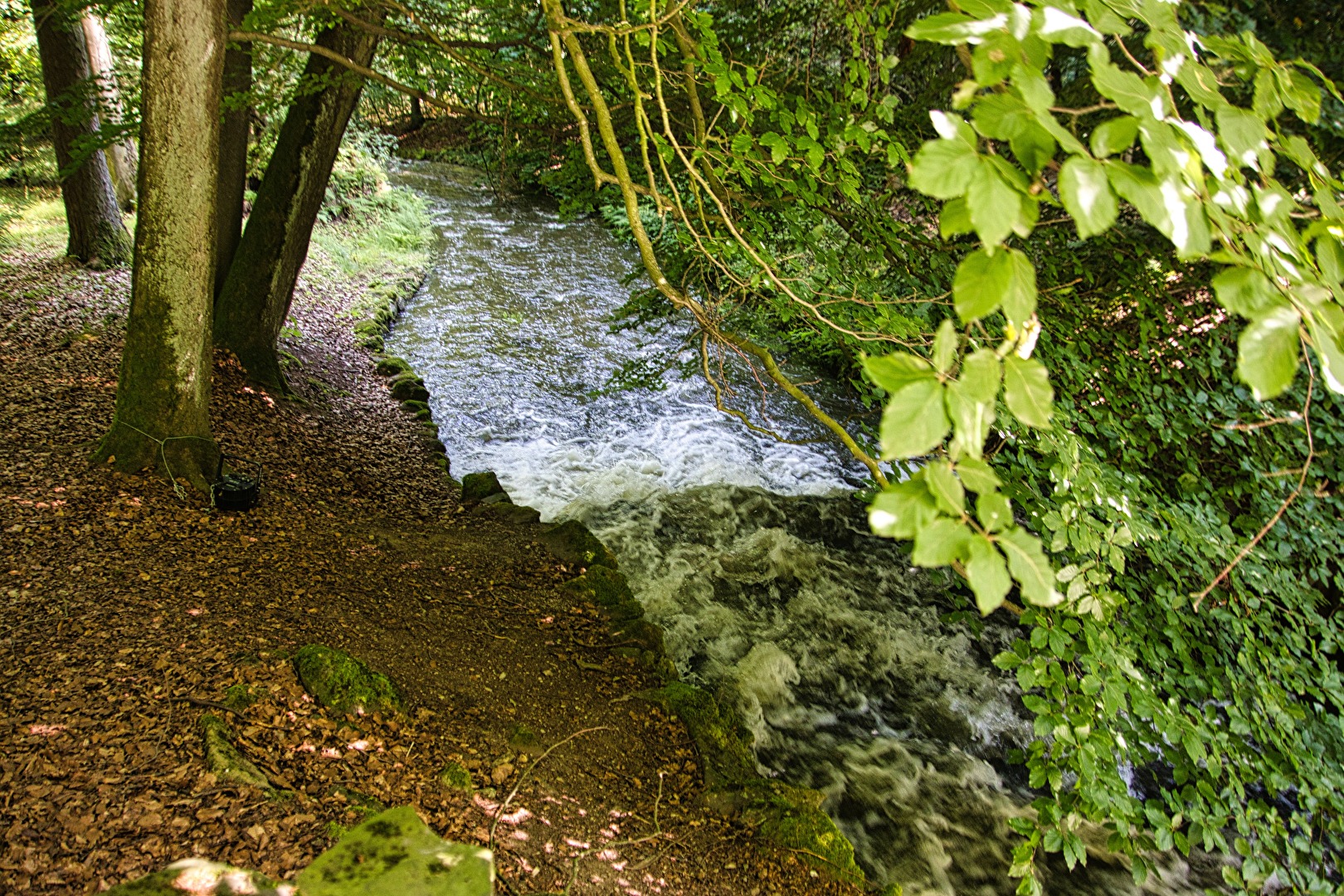 kleiner Bach