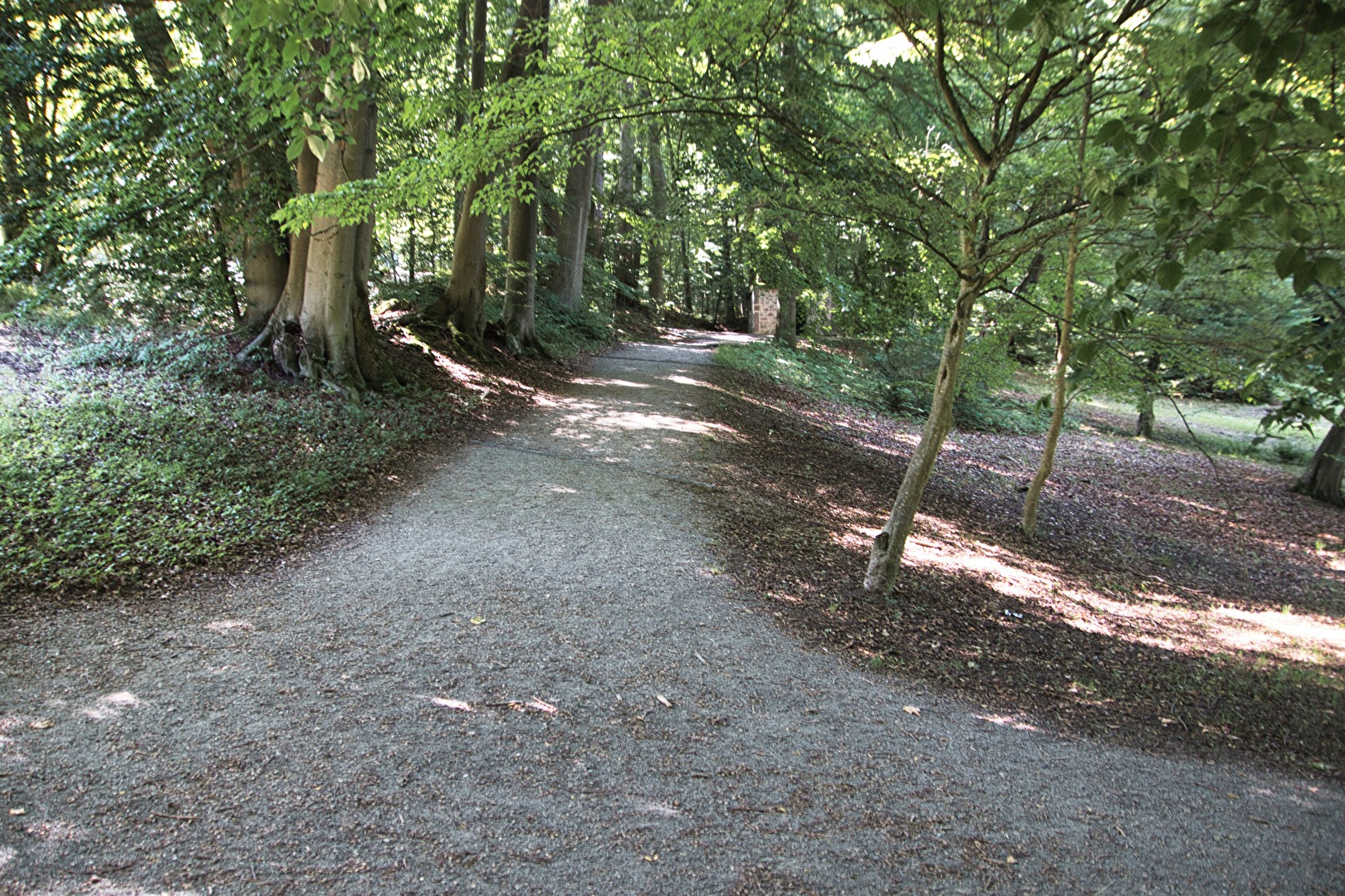 Der Weg durch den Wald