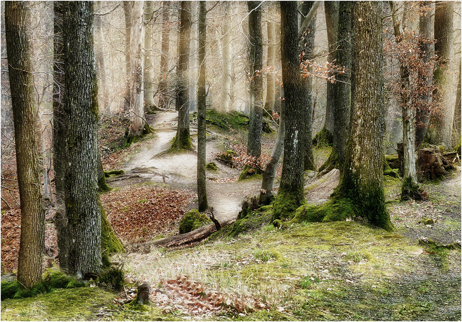 Des Wanderers Morgenstund