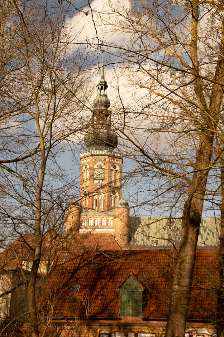 Turm des St.Nikolei Doms