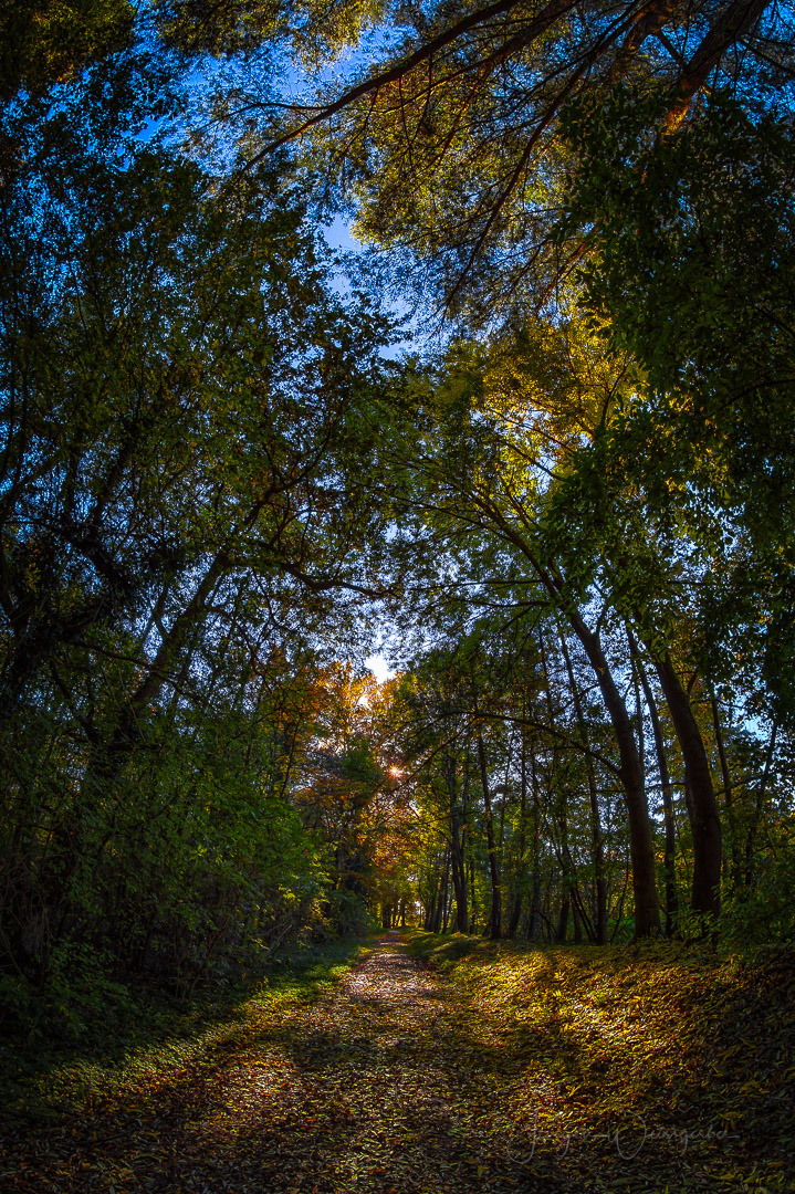 Lichtweg