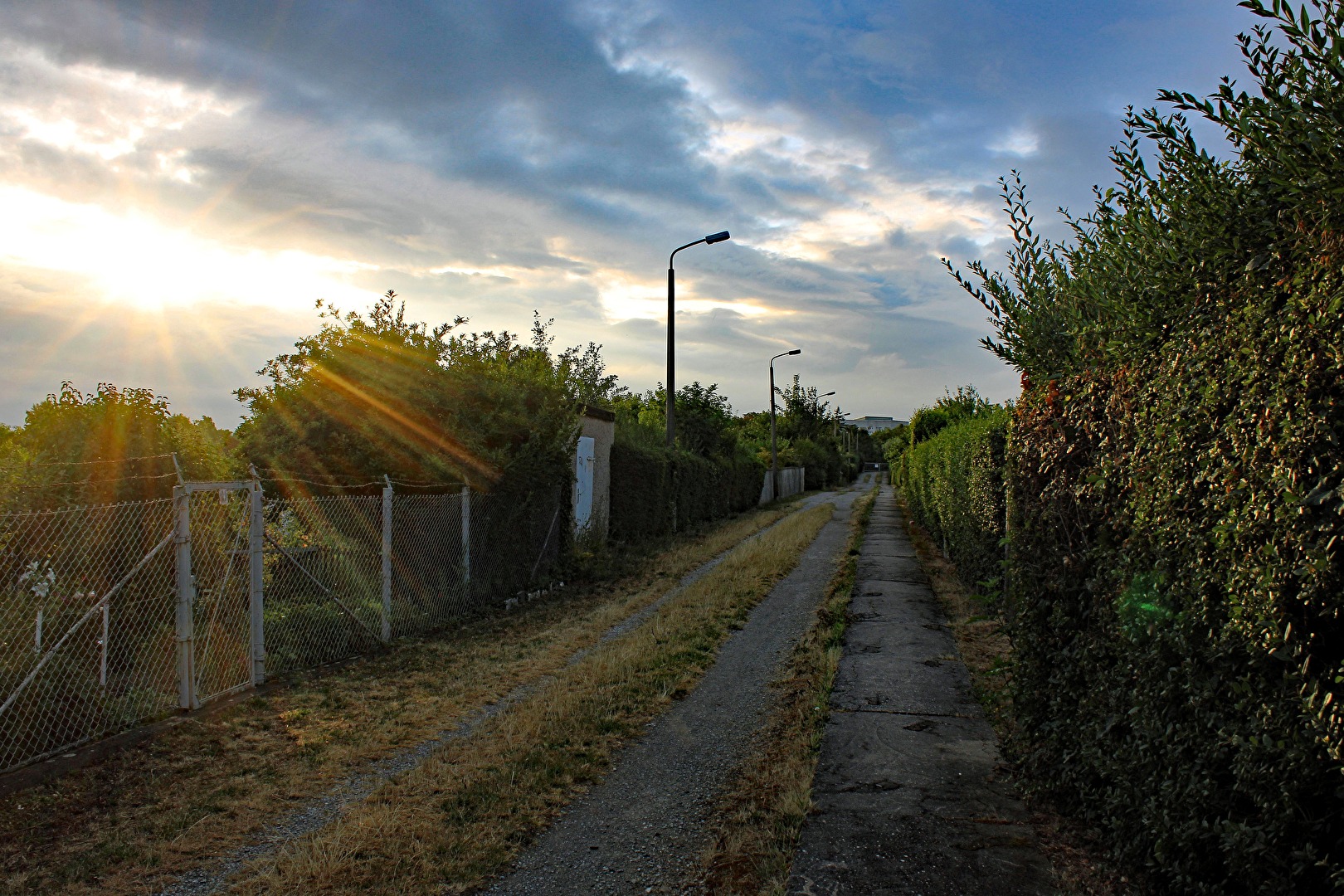 Ein Sommertag beginnt