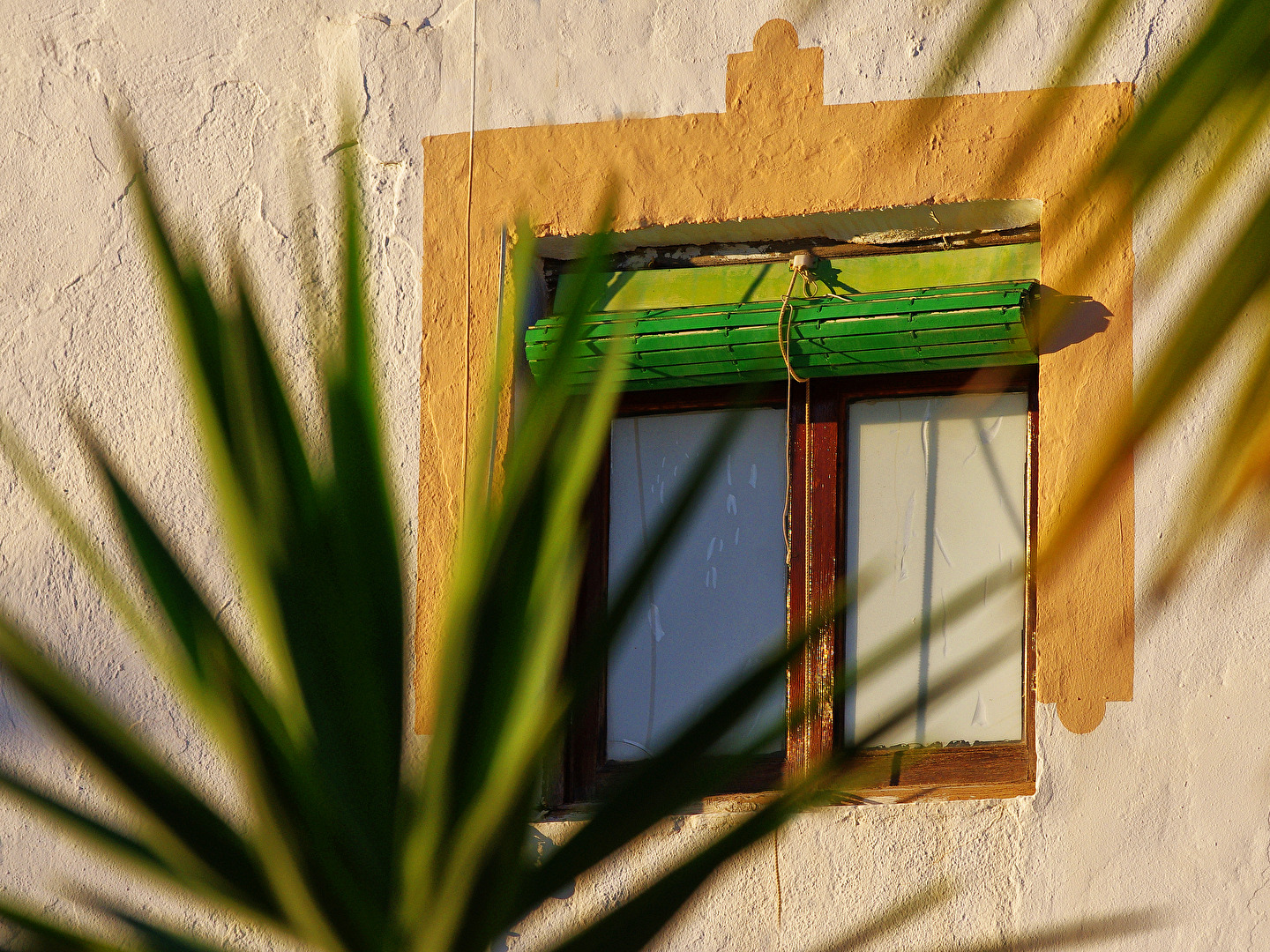 Guten Morgen Sonnenschein