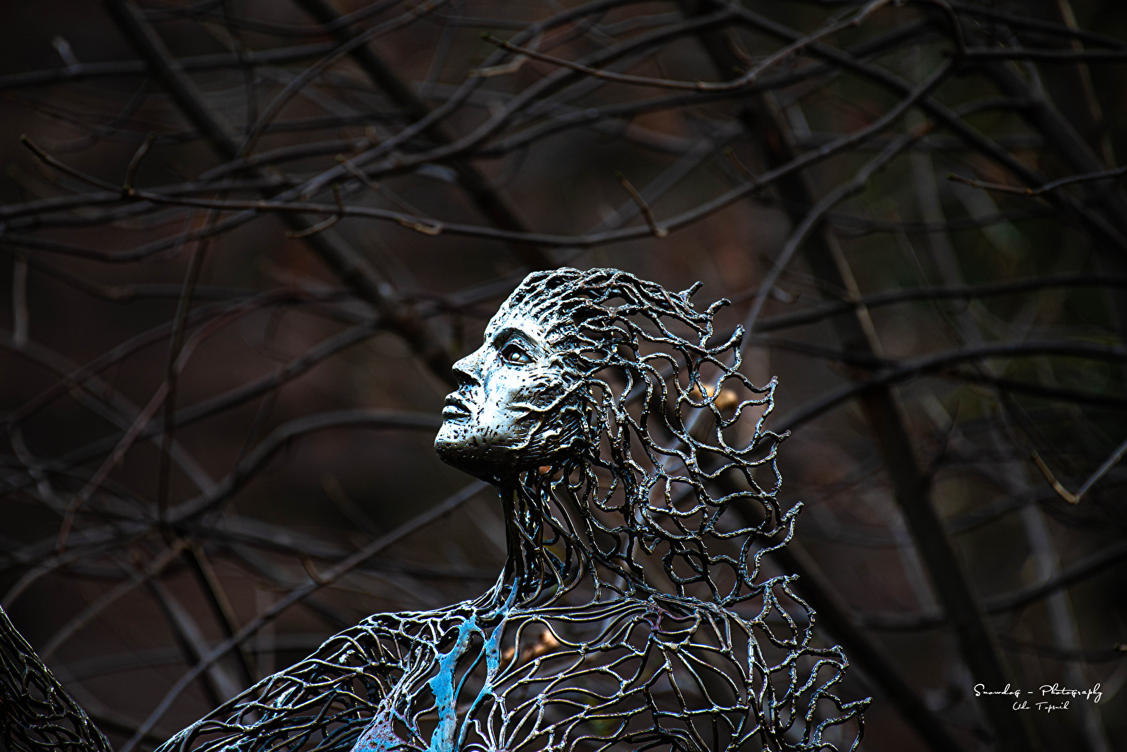 Statue