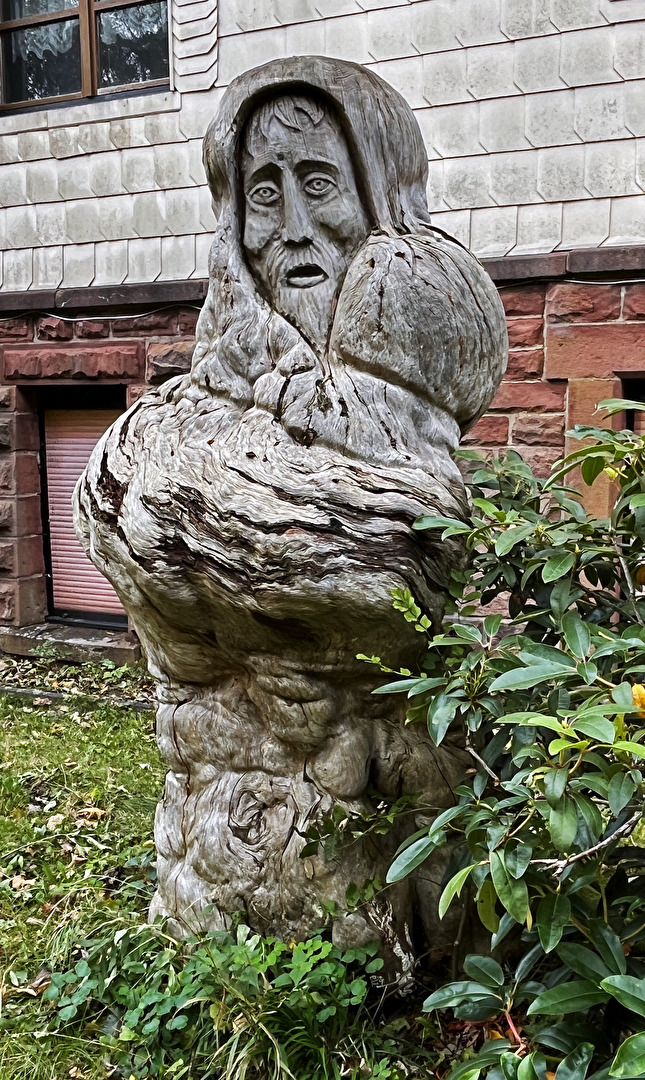 aus einem Baumstamm...