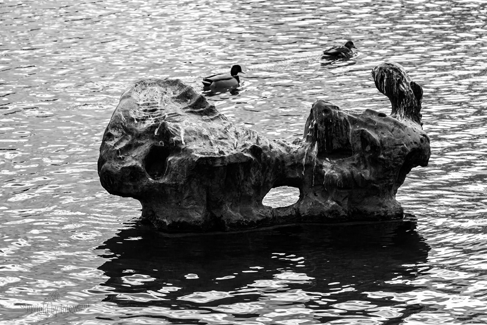 Hannover - "Kunst" im Maschteich (aber die Enten schei.... drauf)
