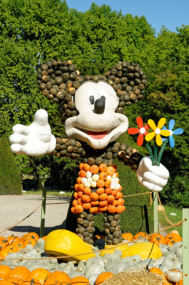 Micky Maus