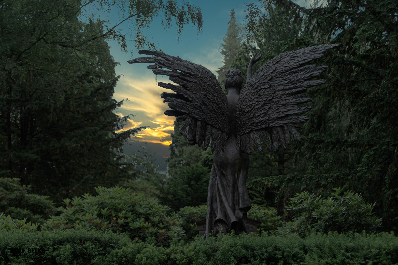Engel der Nacht