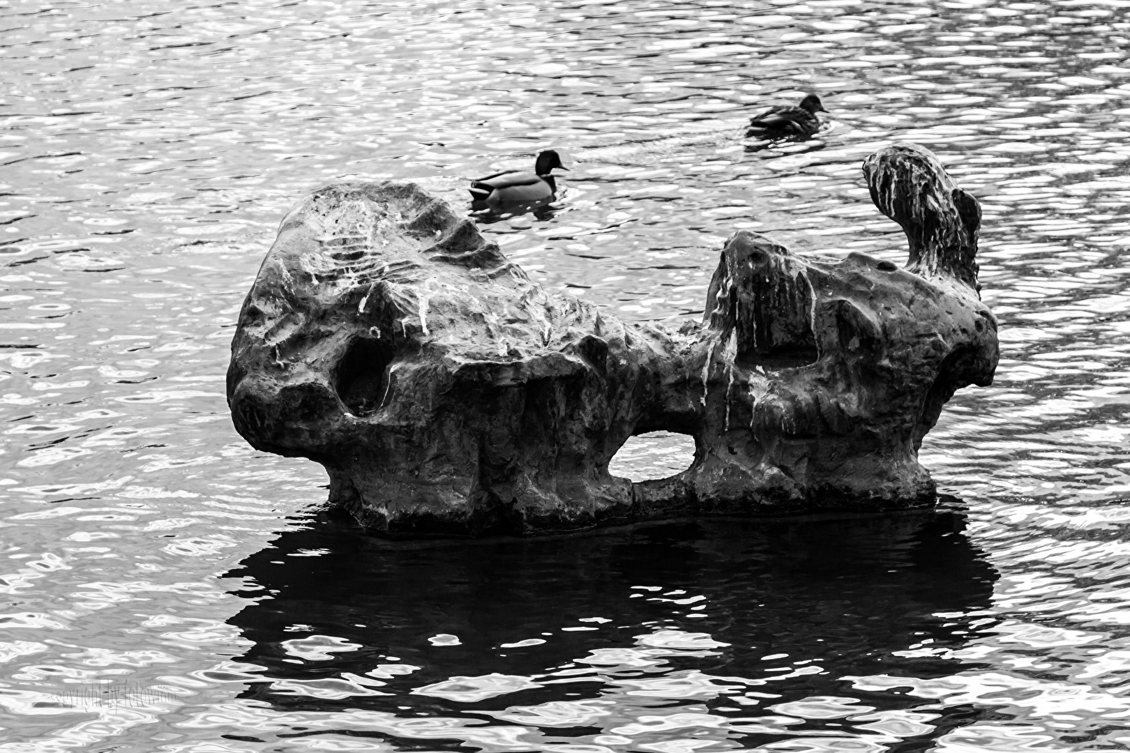 Hannover - Kunst im Maschteich... (aber die Enten schei.... drauf)