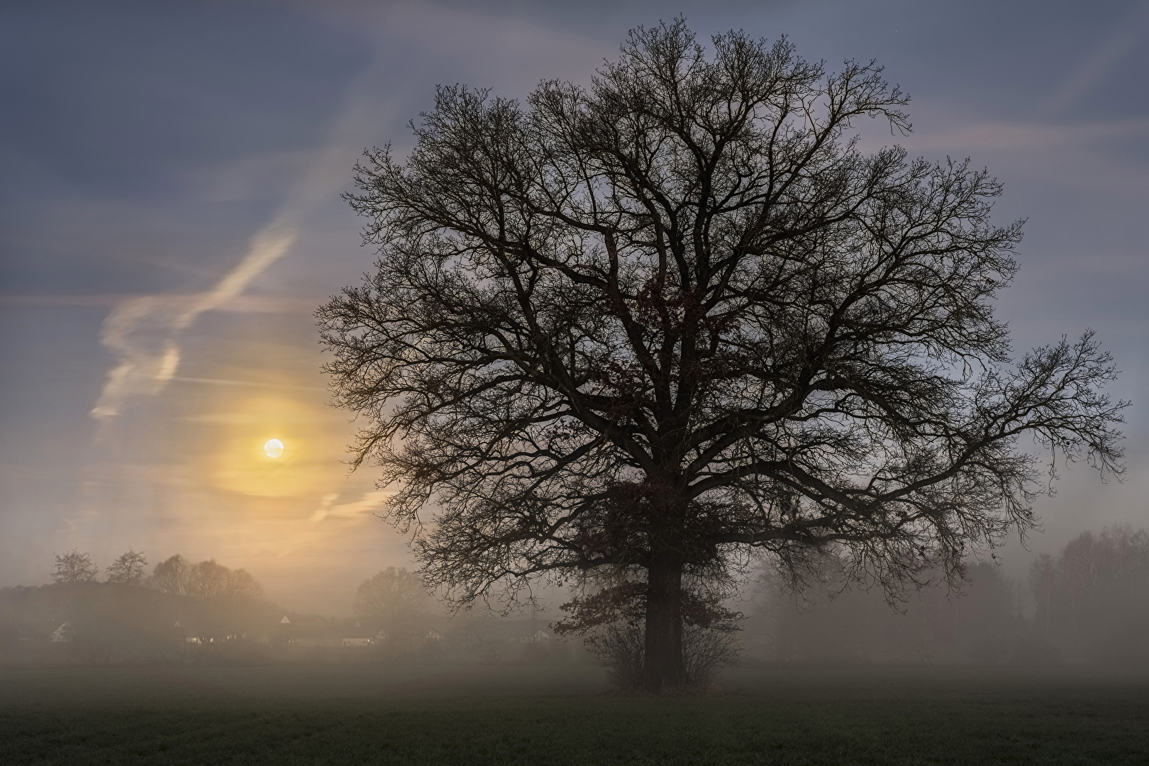 Vollmond