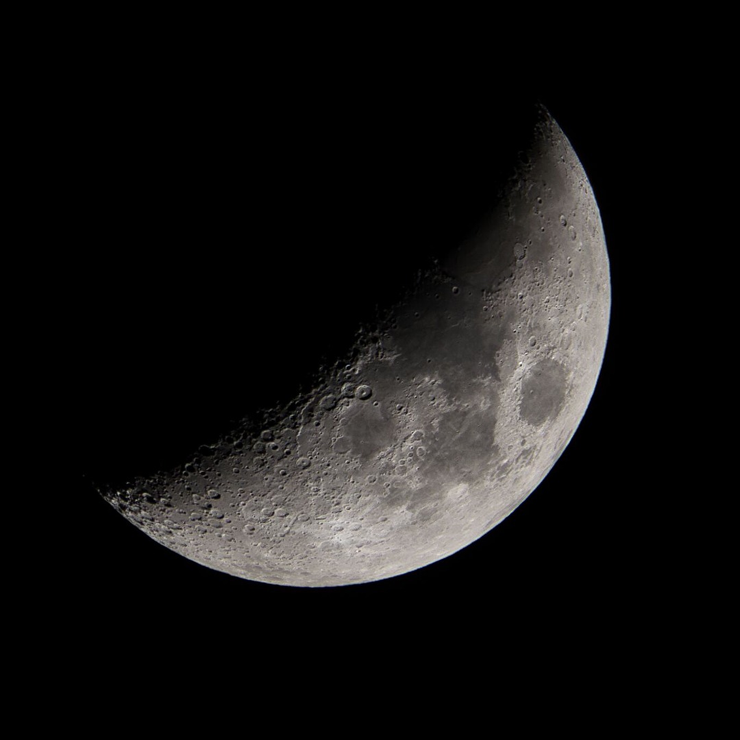 Mr. Moon
