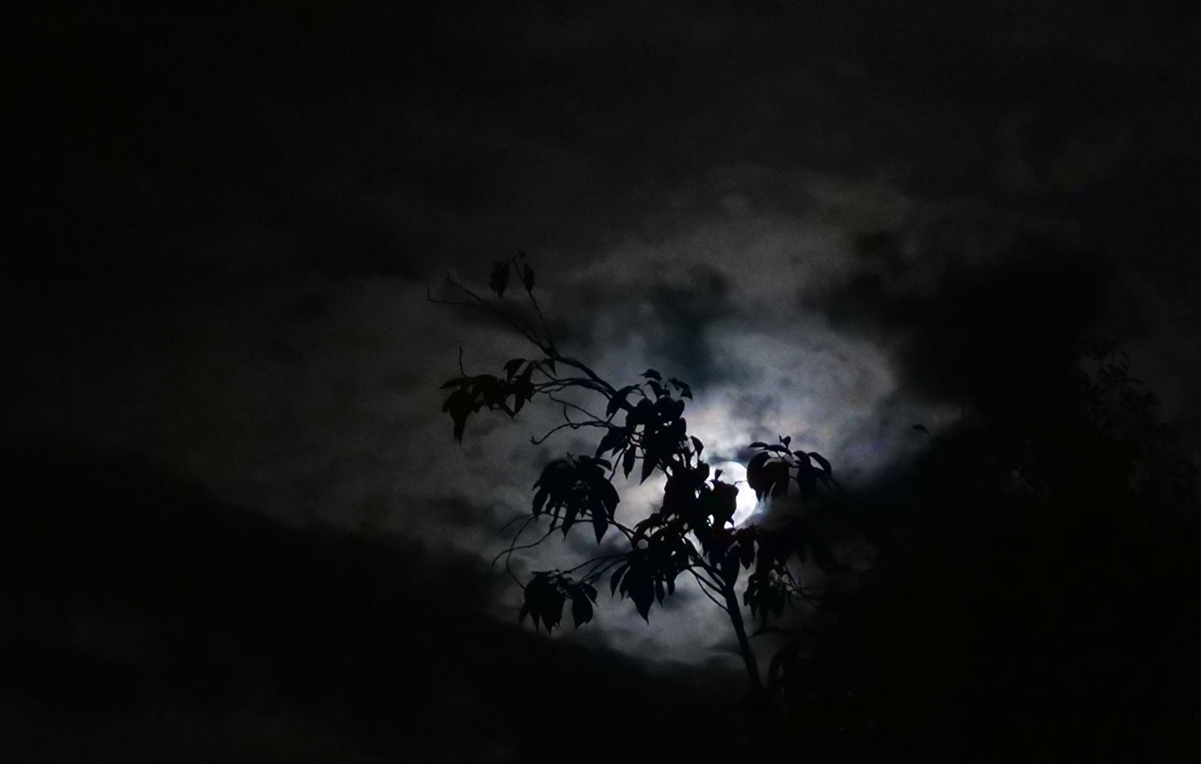 Vollmond