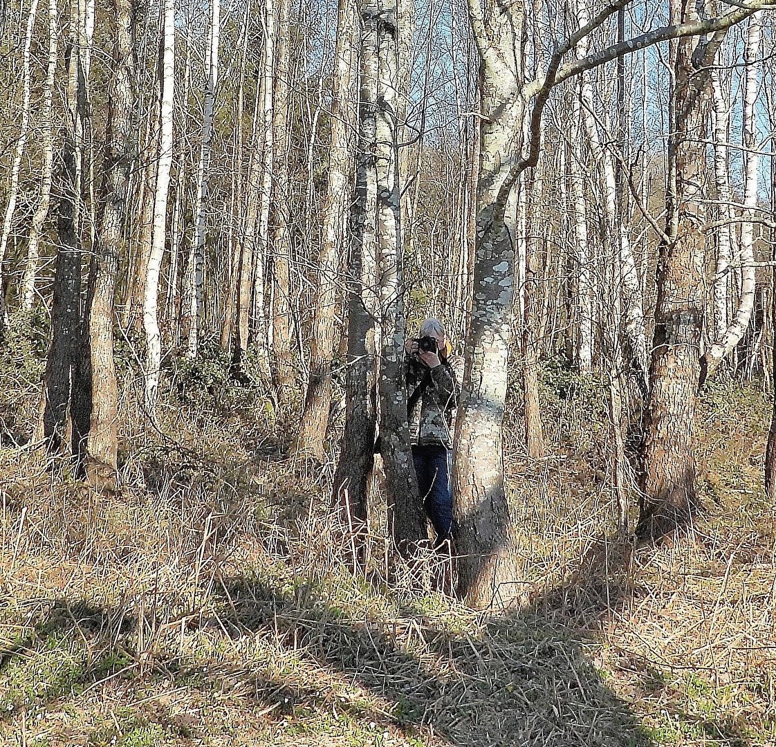 Profilbilder