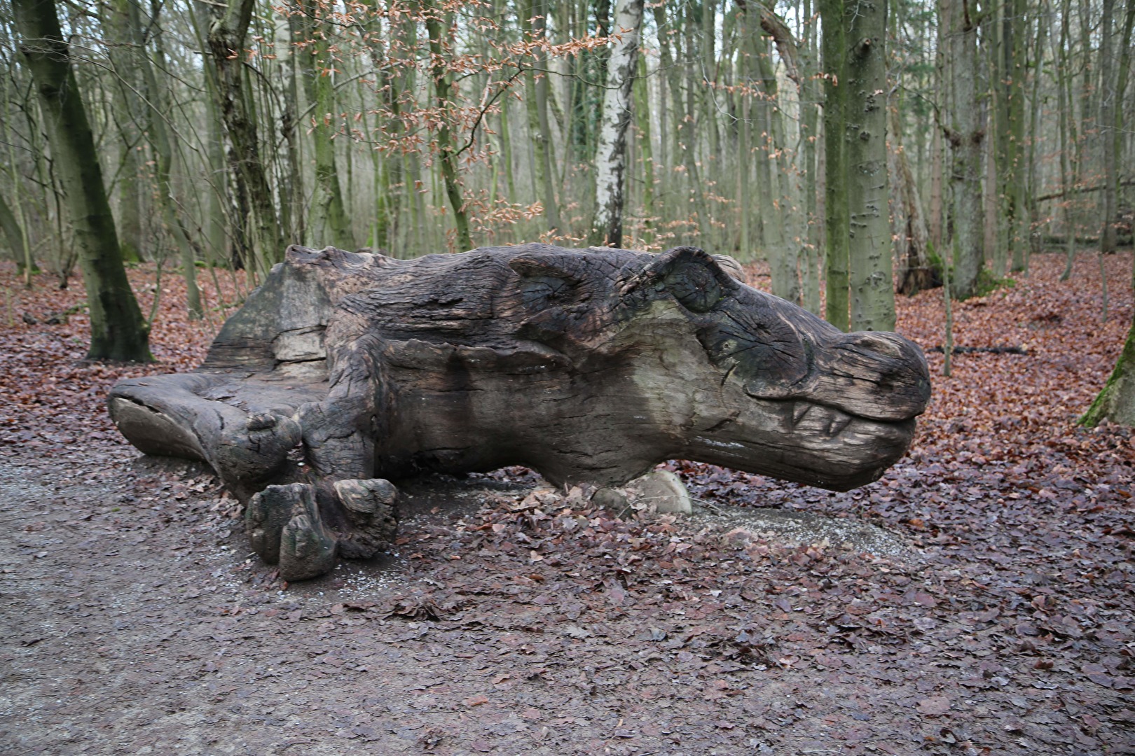 ein ungewöhnliches Waldtier