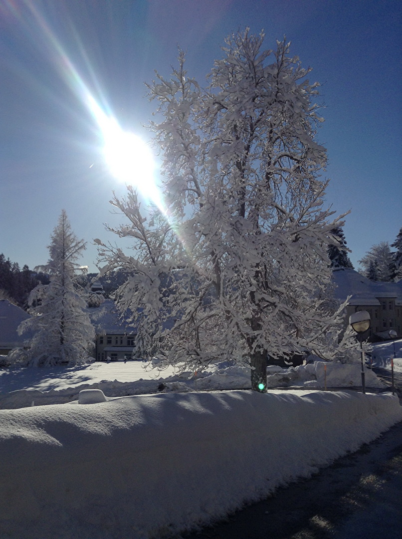 Sonne und Schnee