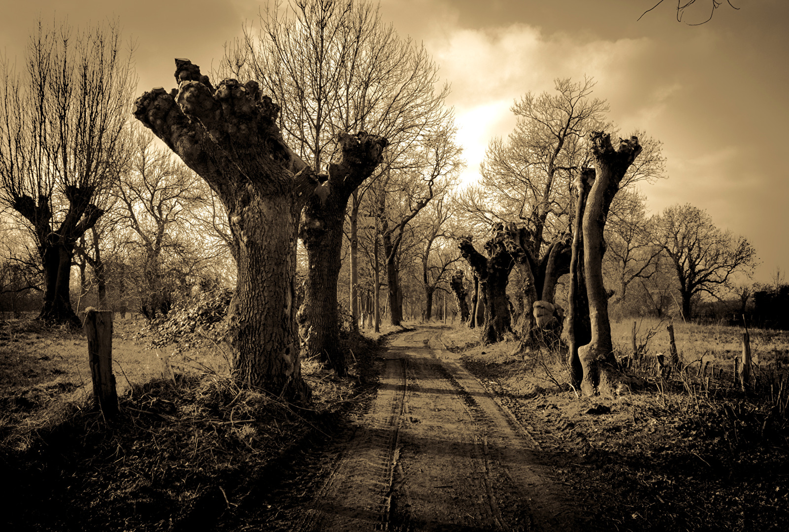 Landschaften (N)