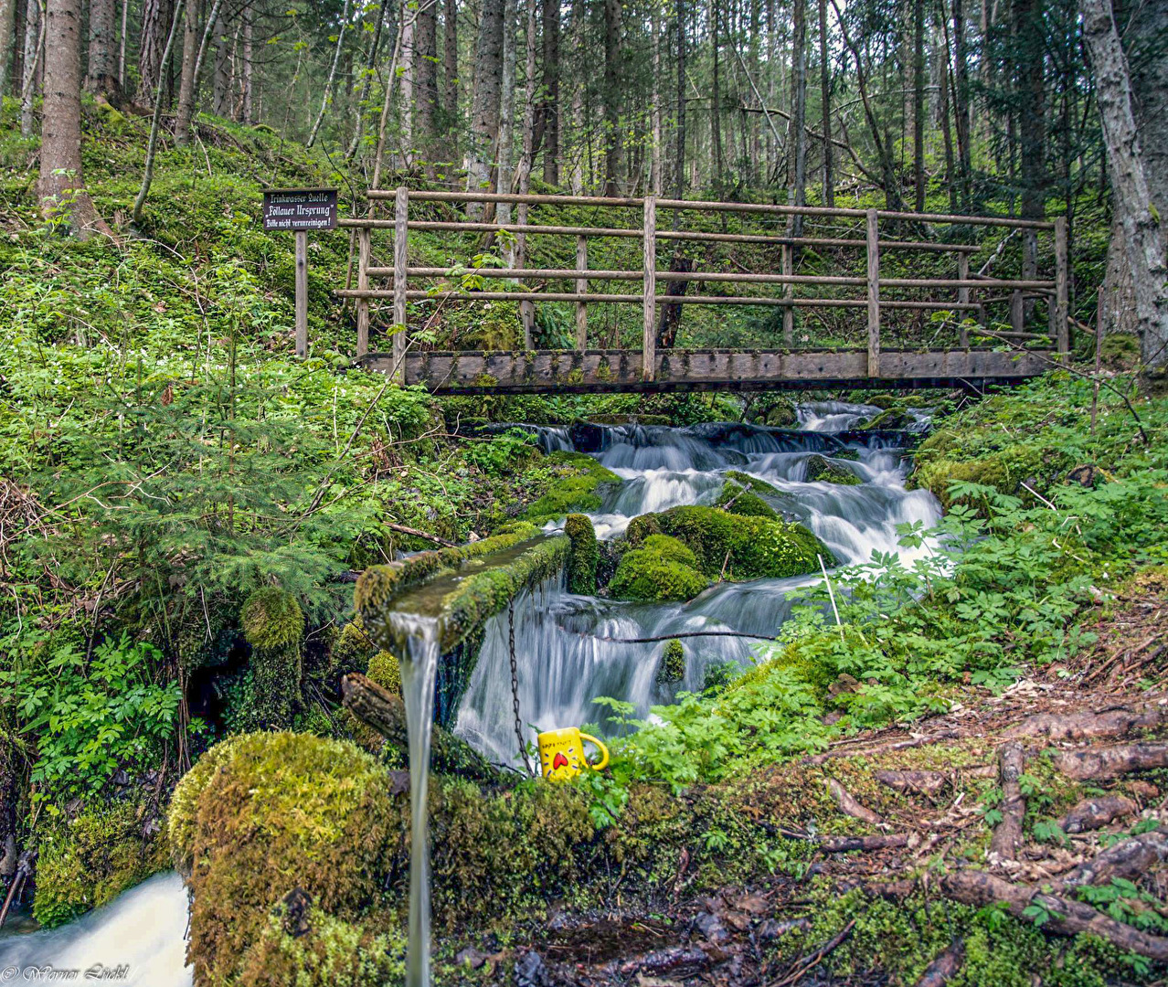 Pöllauer Ursprung