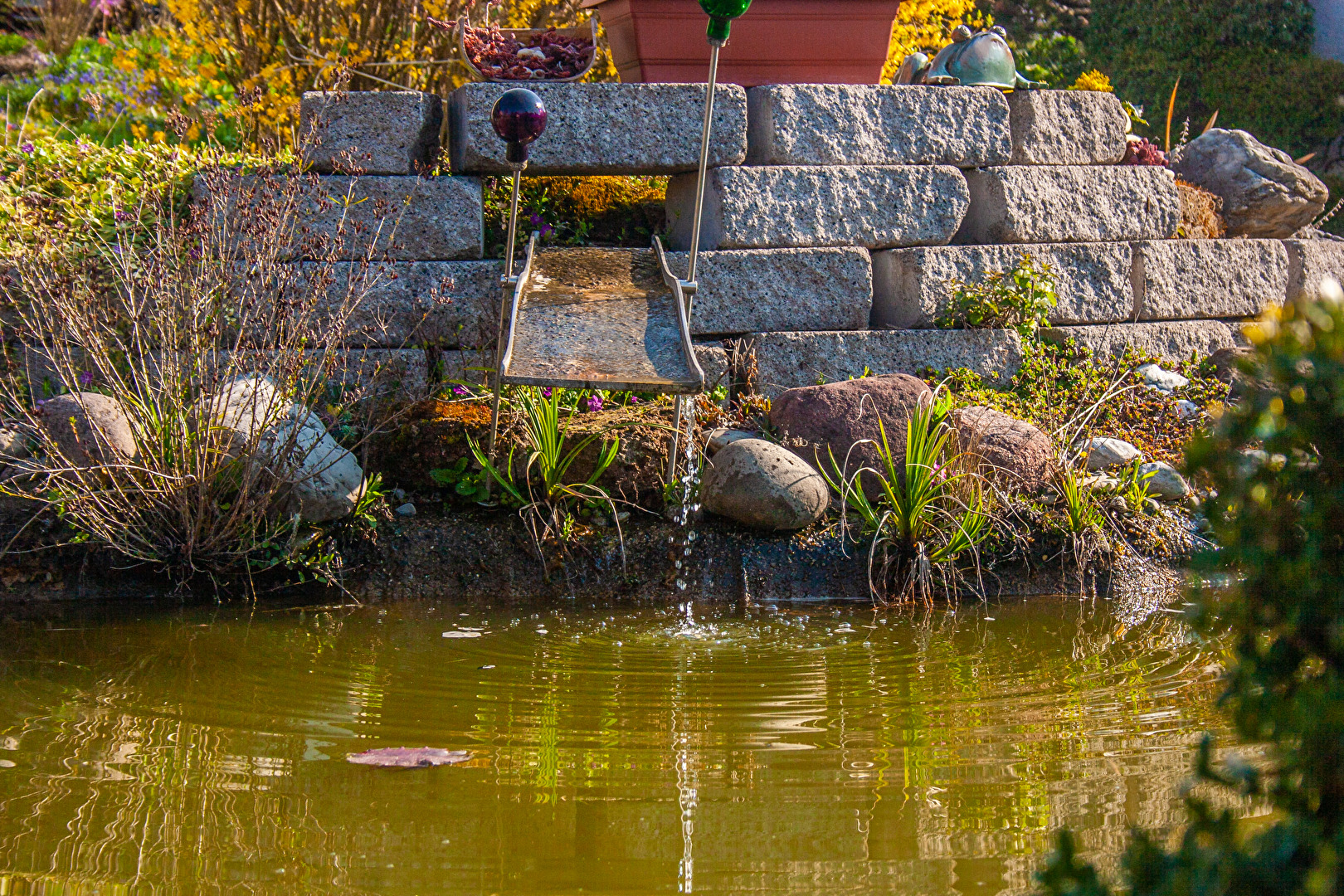 Gartenteich