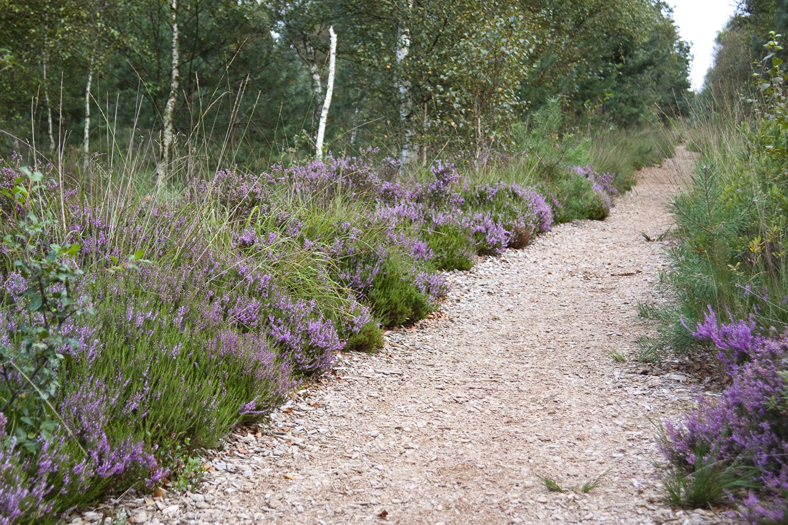 Landschaften (N) 