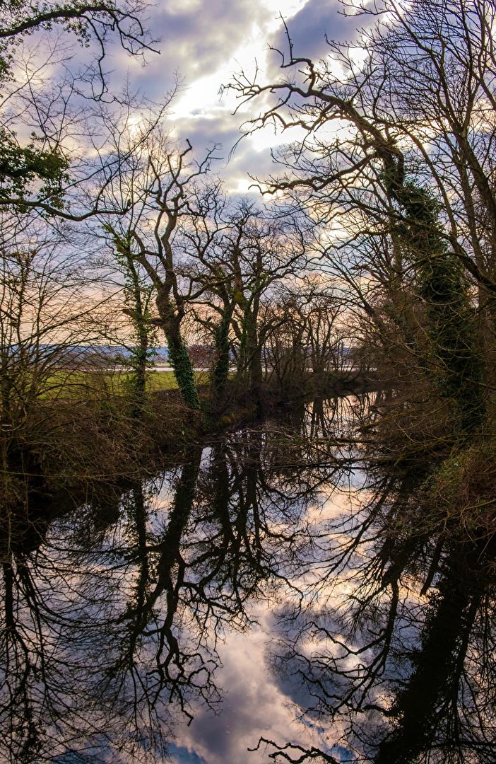 Spiegelung im Schlosspark
