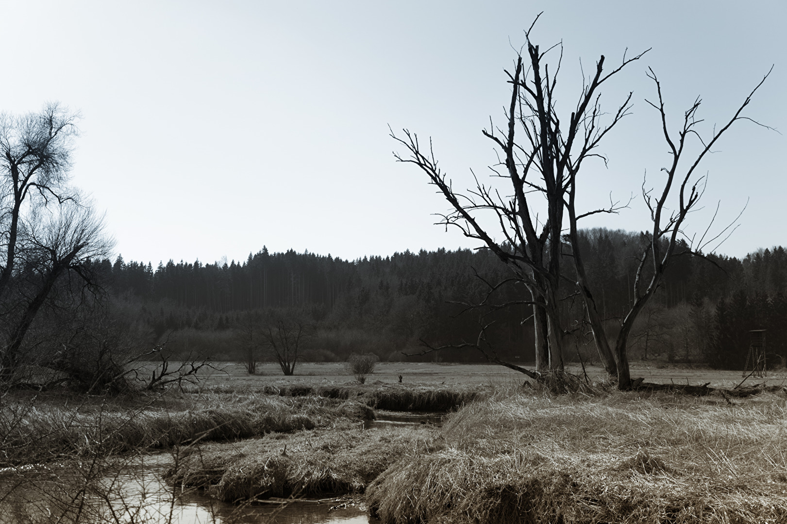 Dem Frühling fehlen noch Farben