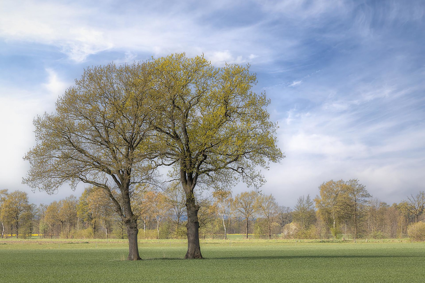 Landleben