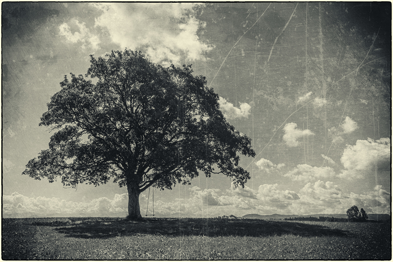Heute steht in jedem Garten ein kleiner Vergnügungspark