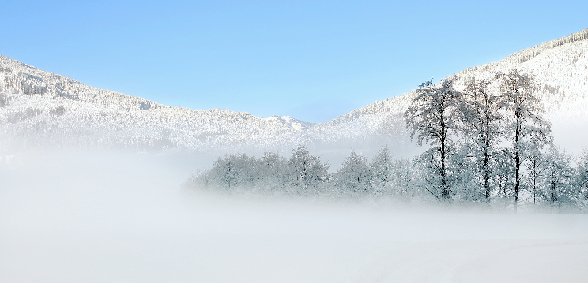 Nebel in Gausu - Minus 25 Grad