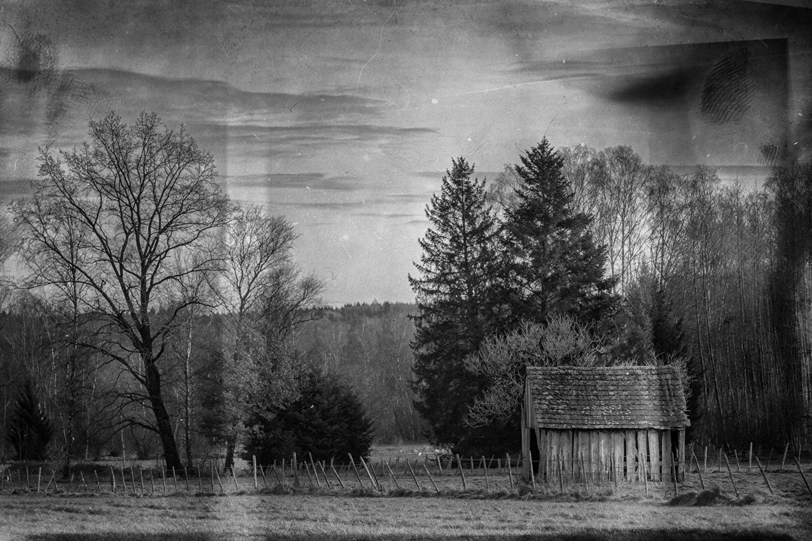 Plesser Ried im Unterallgäu