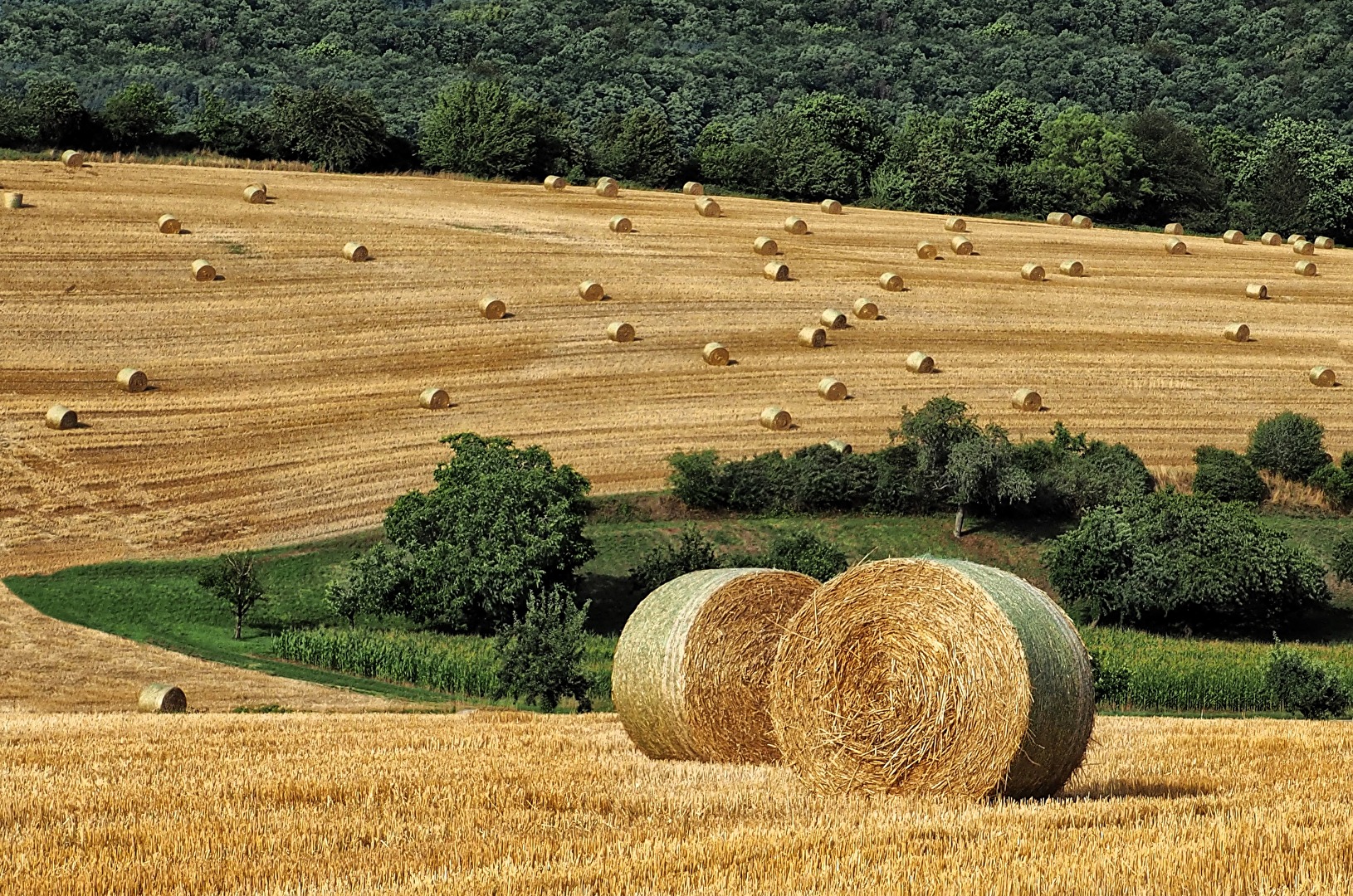 Im Sommer der Bauer