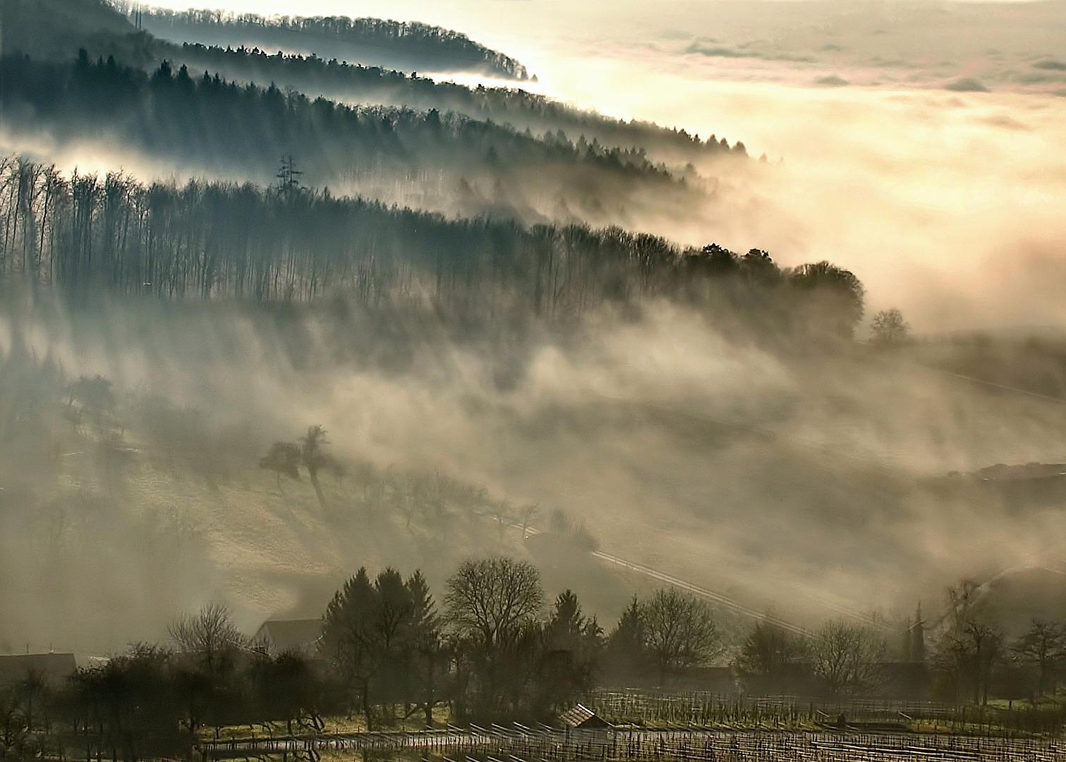 Hochnebel