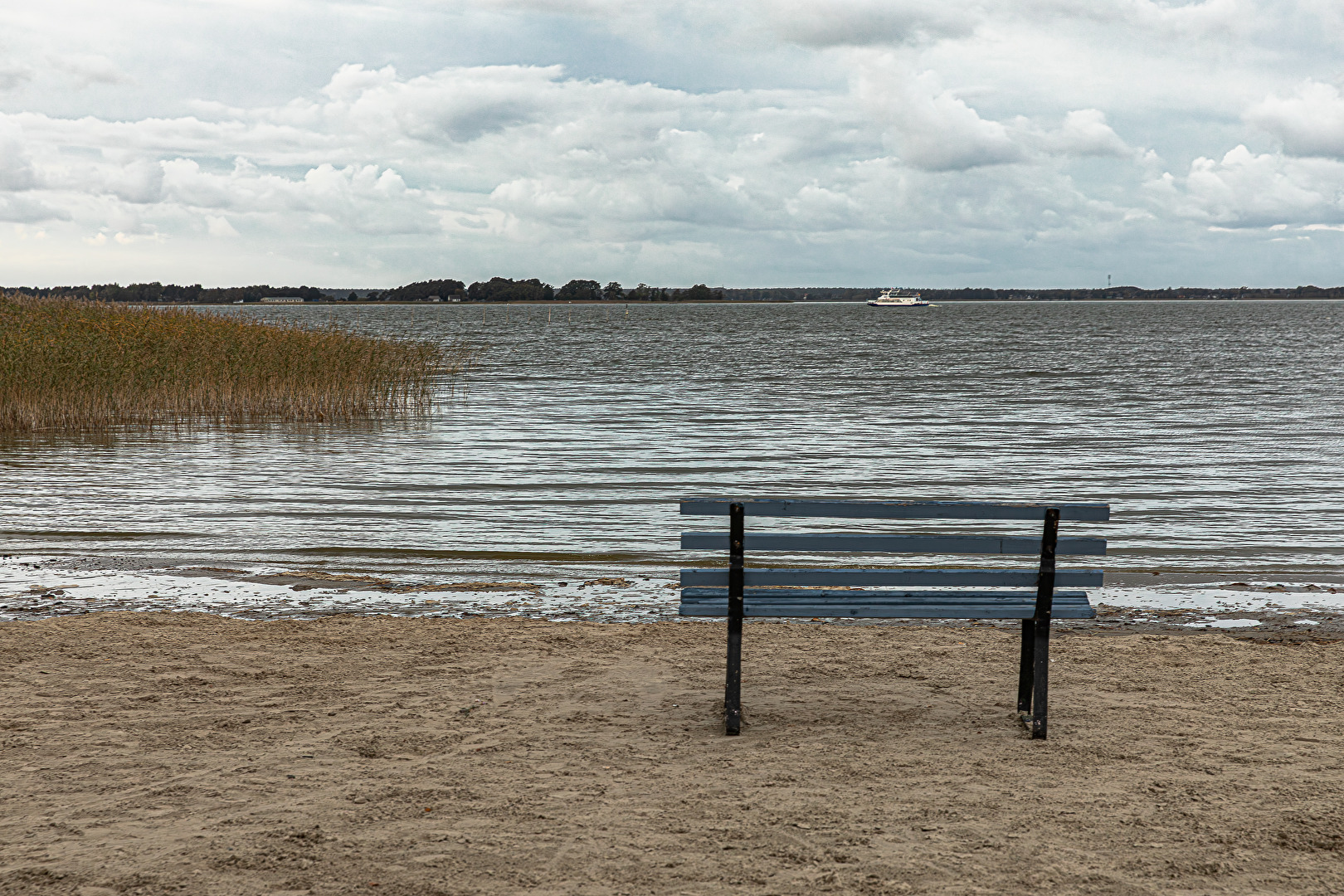 Am Darßer Bodden . . .