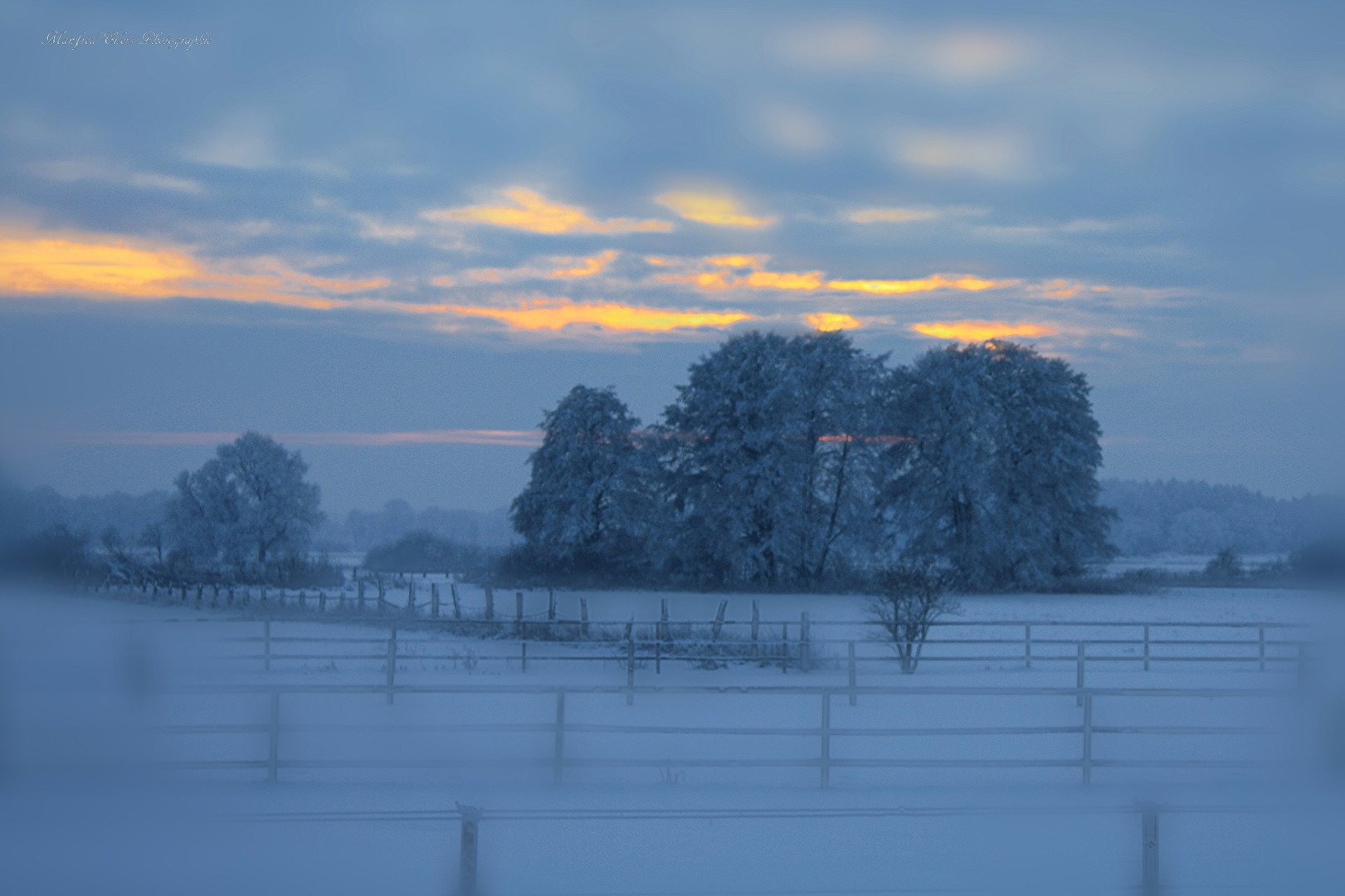 #Wintersonne