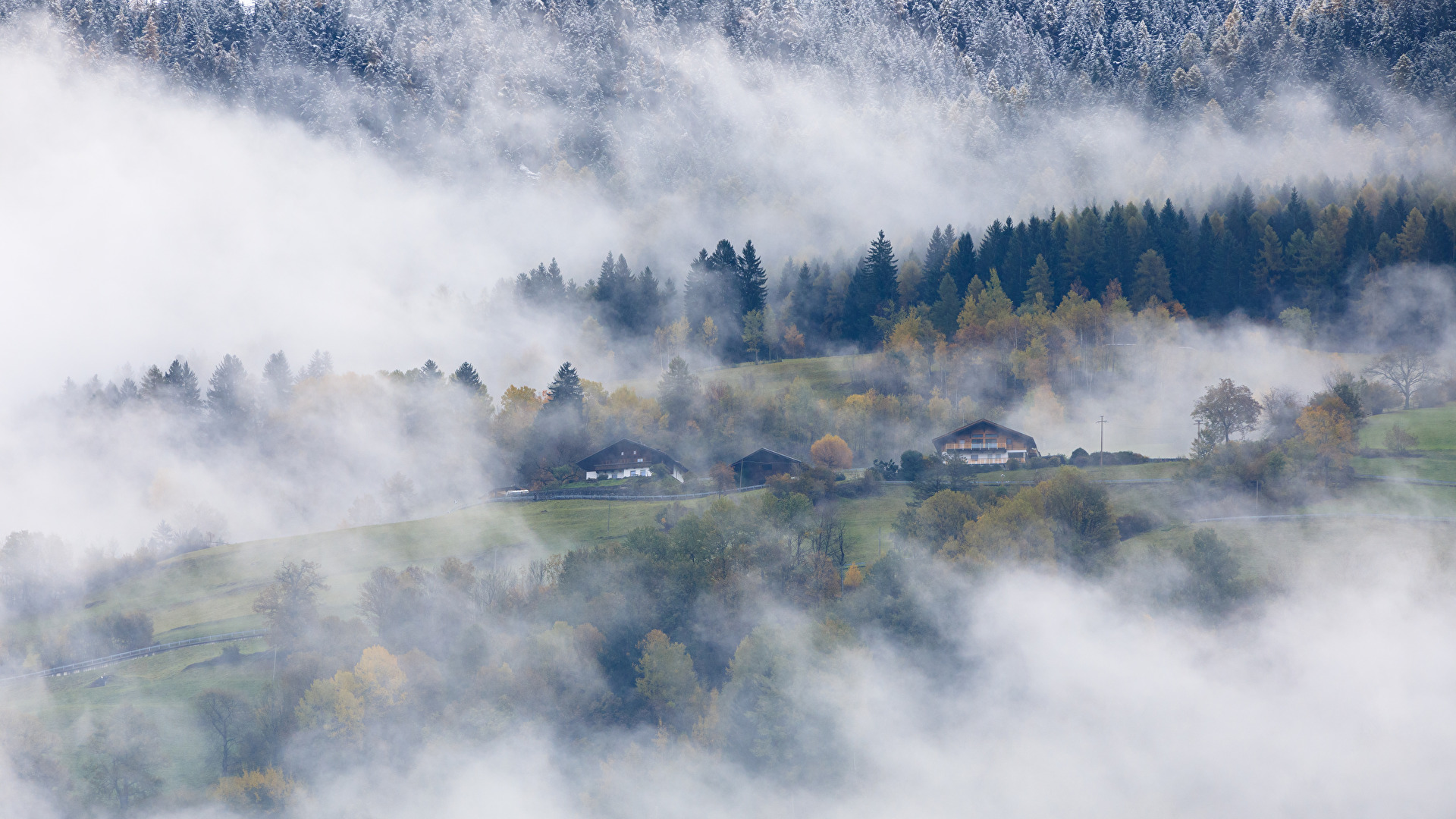 Herbstlich