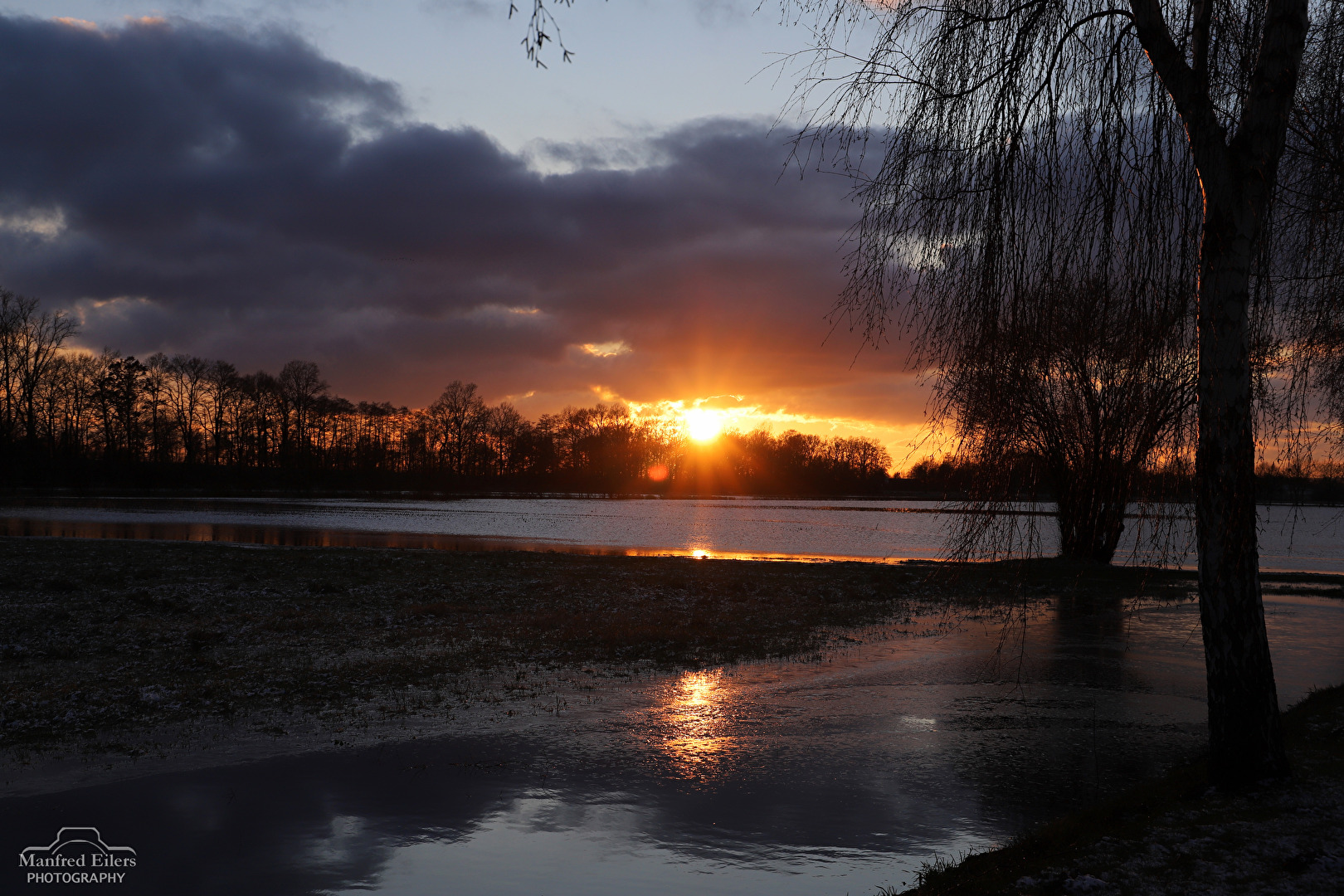 Gestern Abend am Dümmer. Da wo nur Wiesen sind ist jetzt Wasser, Wasser überall.