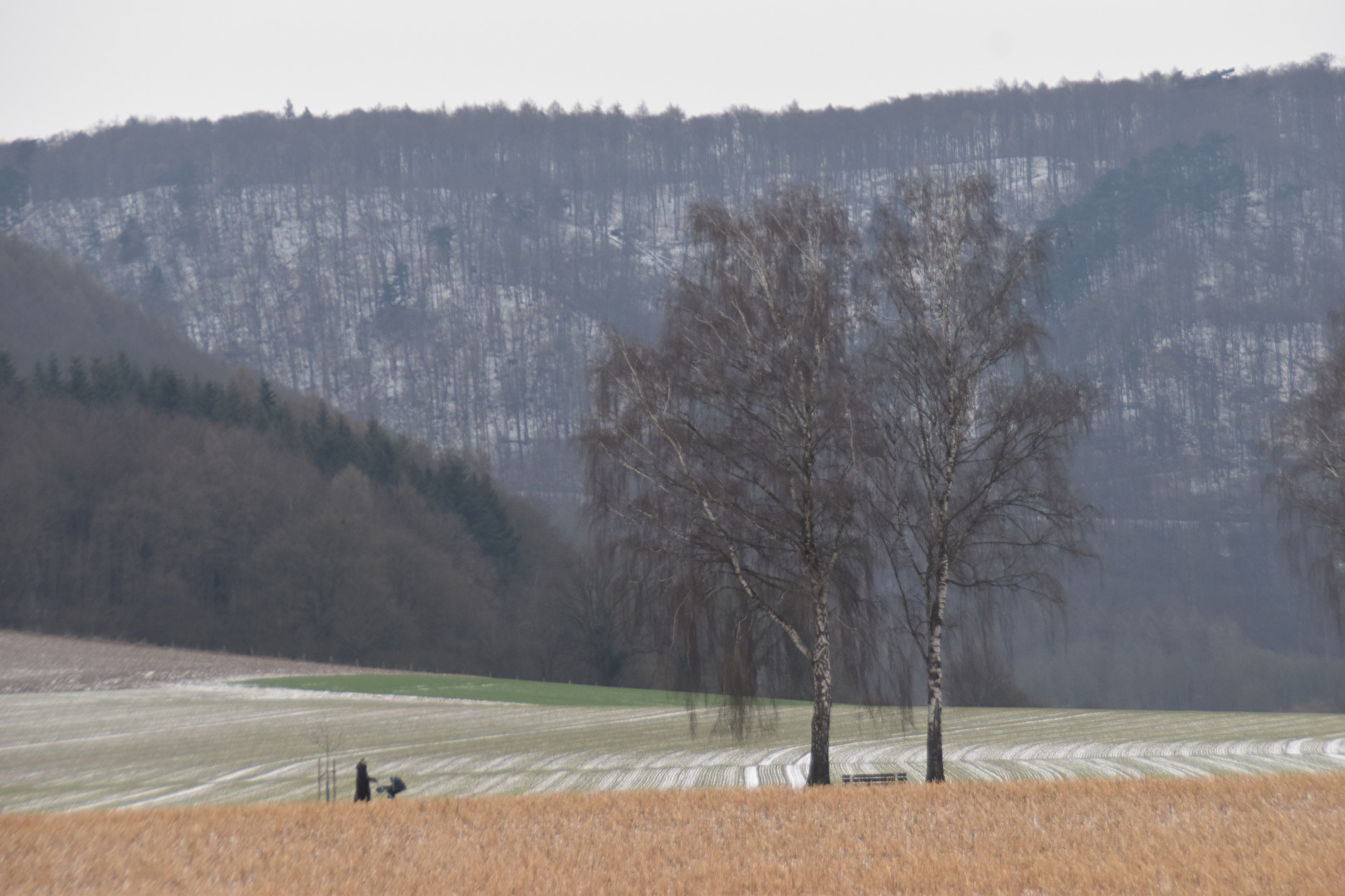 Winterlandschaft